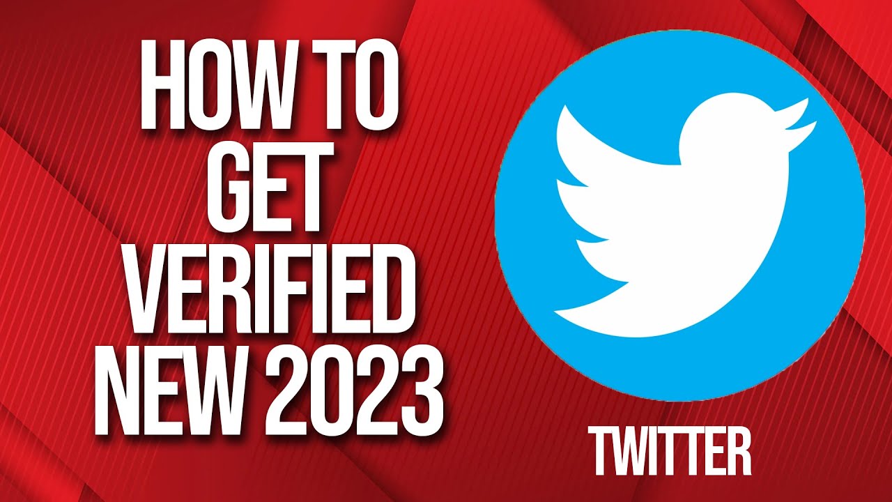 How to Get verified on Twitter 2024