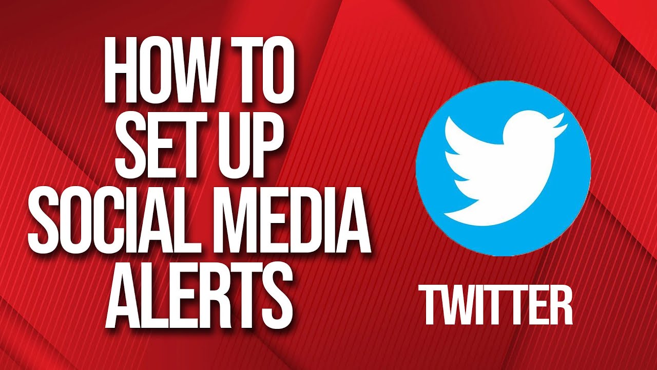 How to set up social media alerts on twitter in 2024